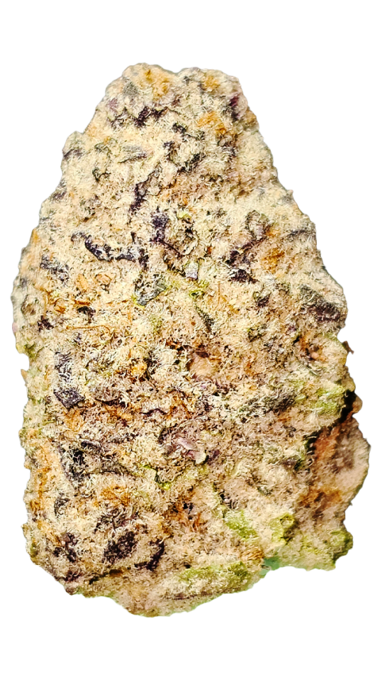 Gelato Cream